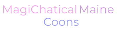Magichatical Maine Coons